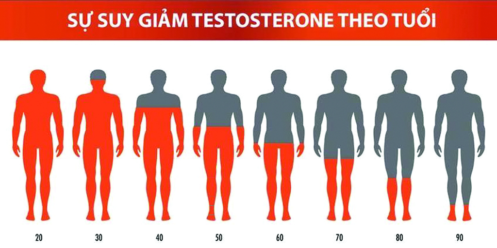 Sự suy giảm Testosterone theo độ tuổi 