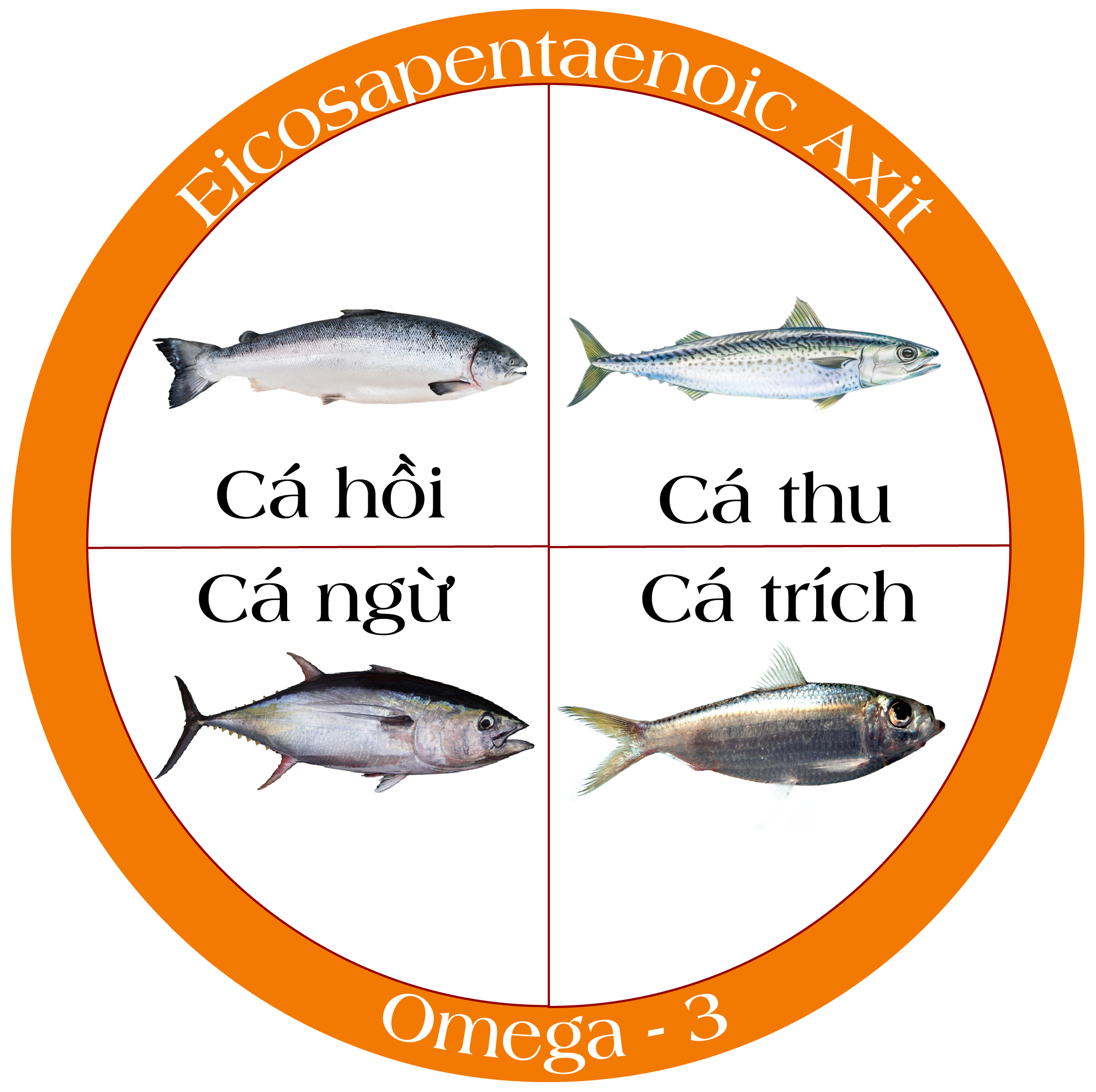 Cá chứa hàm lượng EPA cao