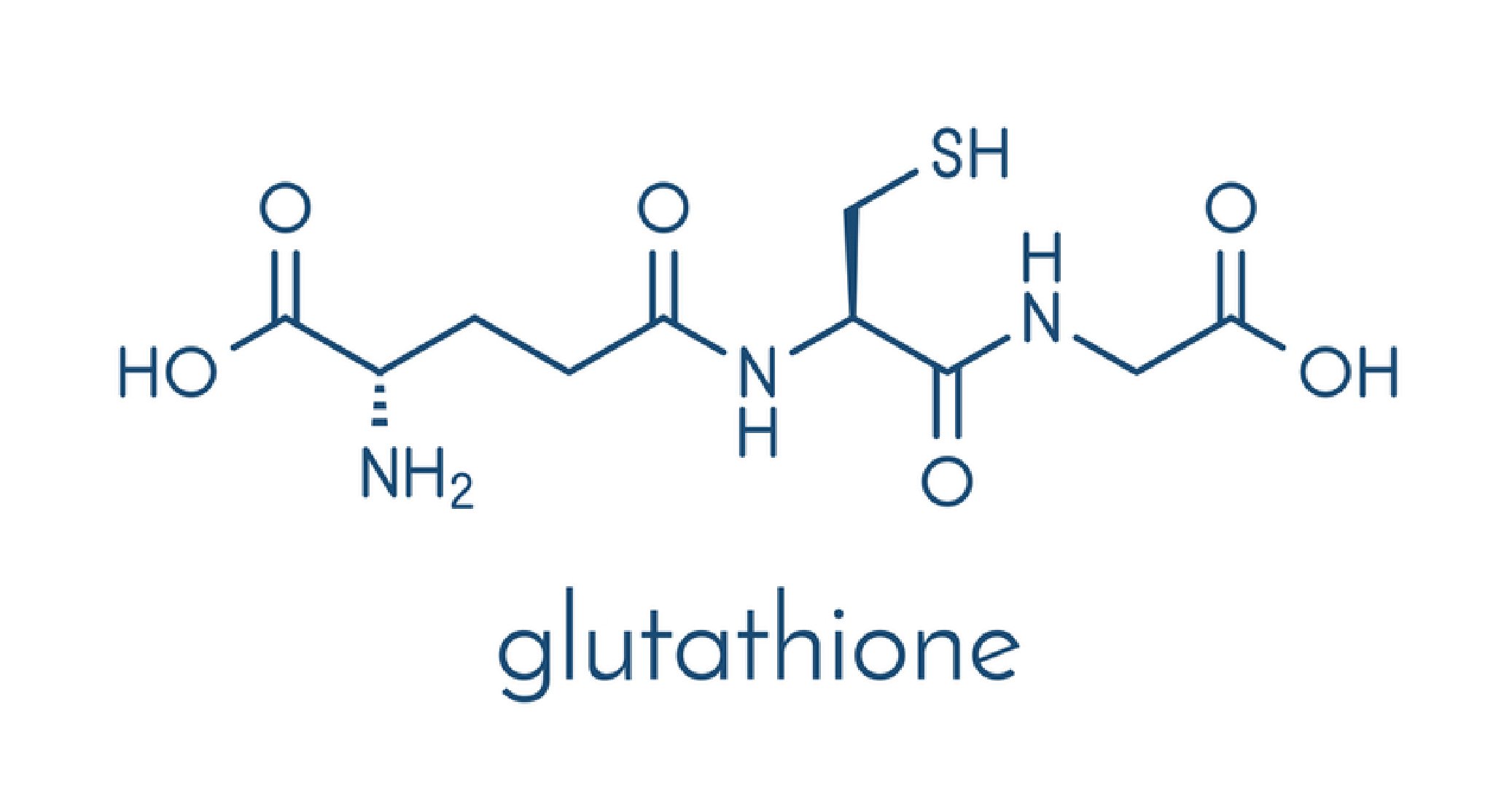 Mỗi tế bào đều cần có Glutathione để duy trì sự khỏe mạnh
